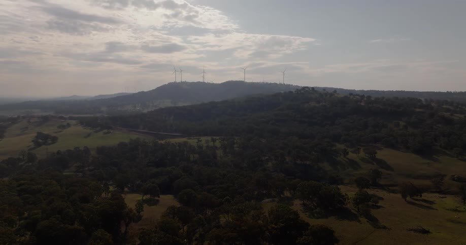 Wind turbines on a foggy hill tower over the nearby woods and fields