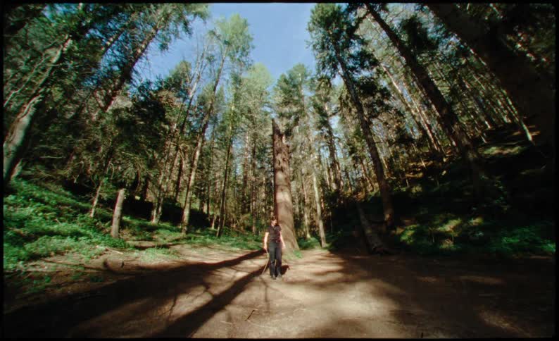 A woman is holding a stick pointing to a dead tree in the forest