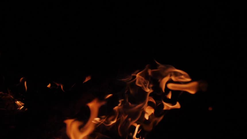 Flames dance off of a bonfire