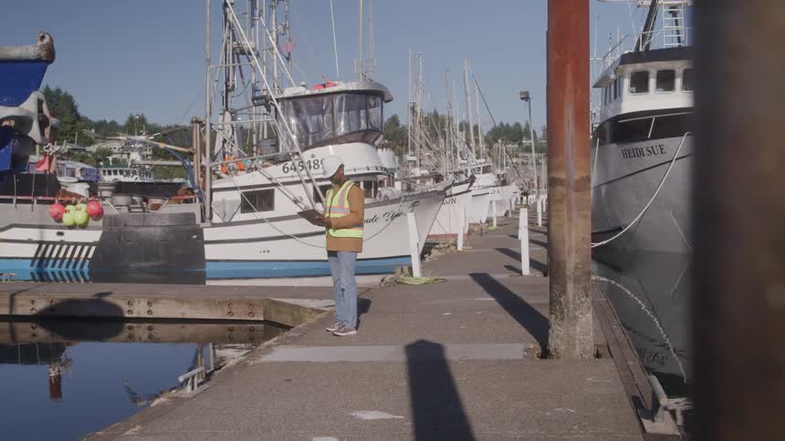 A man in a hard hat and safety vest stands on a sunny dock at a marina writing on a clipboard as he observes the moored boats