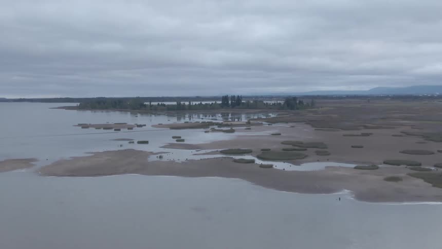 Aerial view of a coastal wetland with scattered grassy patches and water channels under an overcast sky