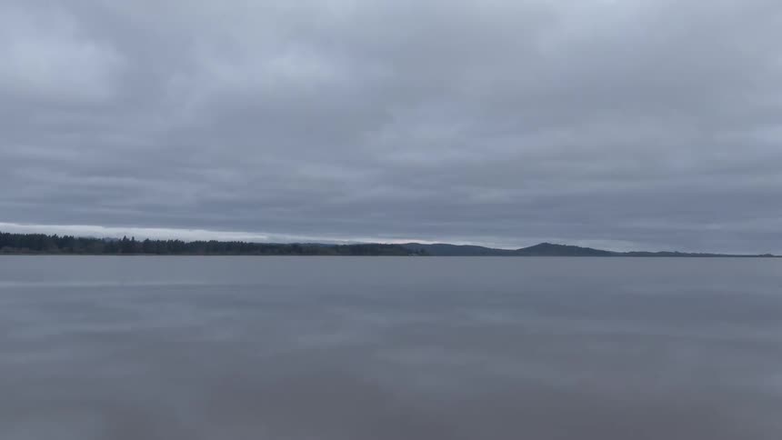 A huge lake with still surface water with vegetation in the background and a cloudy day with many white clouds