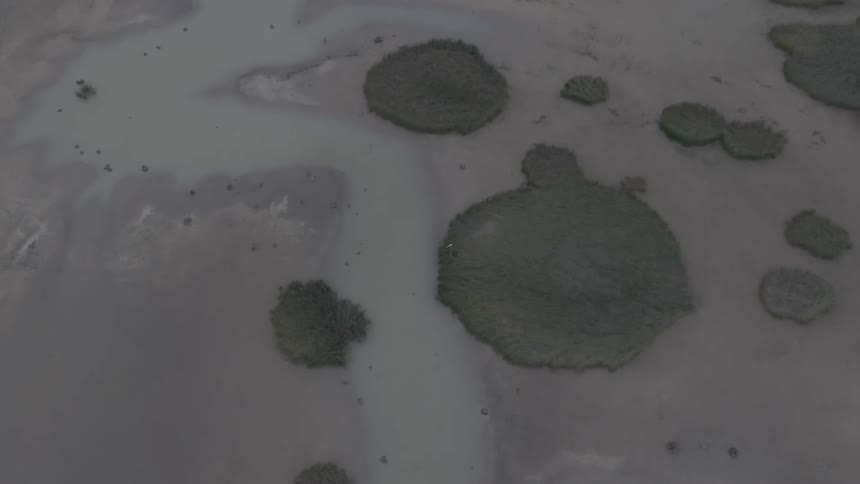 An aerial view of an archipelago of small islands next to a river with brownish water