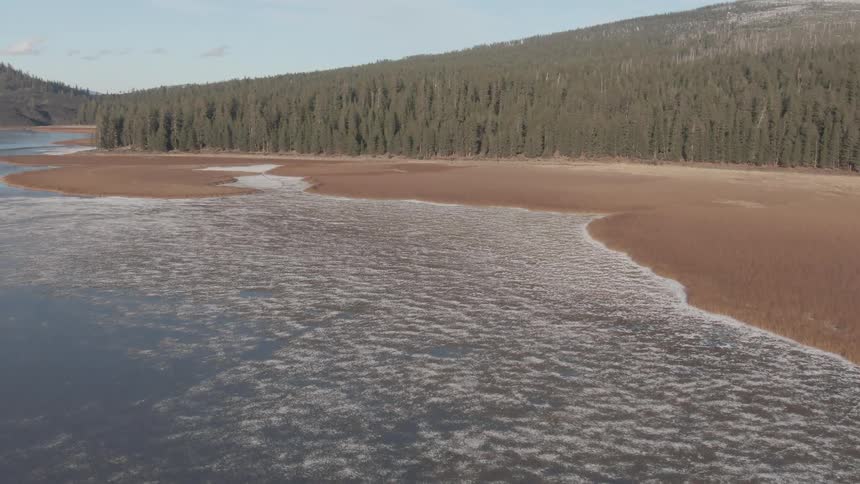 A stillwater beach with a fir forest along the coast