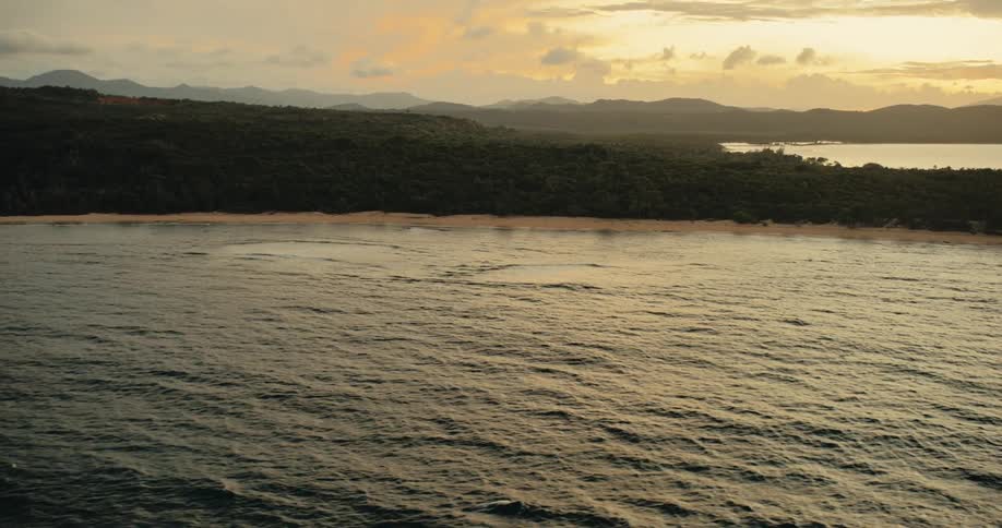 Aerial shot of a coastal landscape with forest beach and ocean at sunset