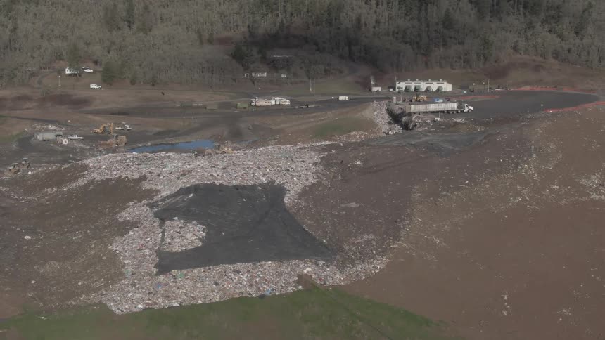Birds fly over the landfill