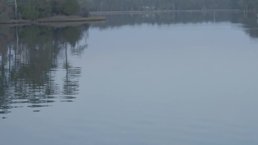 The trees reflect on the lake water