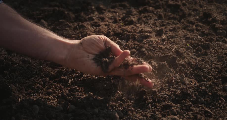 A hand is gently sifting through loose soil in a sunlit environment suggesting a connection to farming or gardening