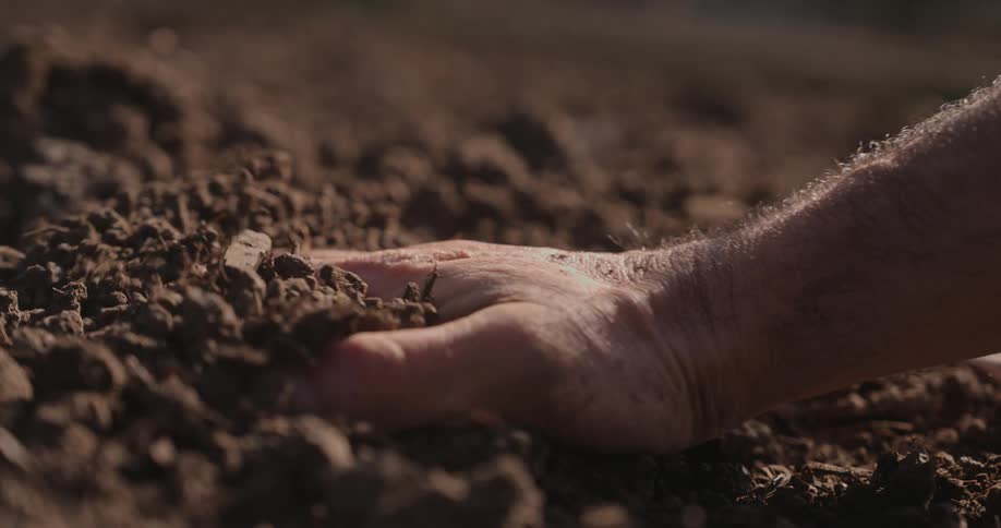 The right arm of a hairy man brushing back and forth across the sand under the midday sun