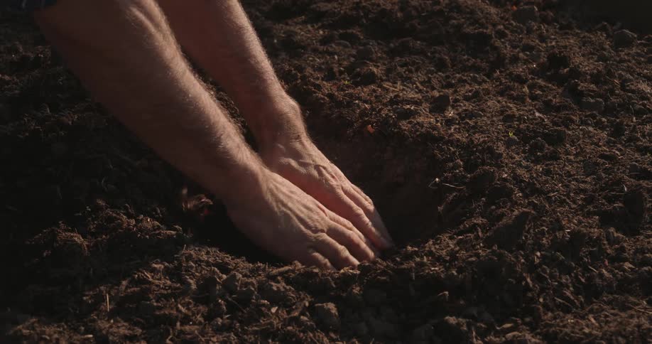 A pair of hands is shown scooping into dark soil