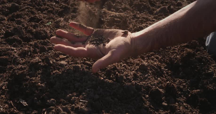 A man sprinkles dirt into his hand