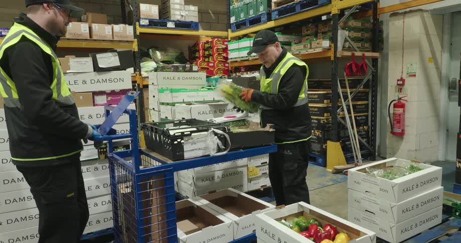 Two men in safety vests work in a produce warehouse with one carefully packing fresh vegetables into a crate on a cart while the other appears to be checking an order list