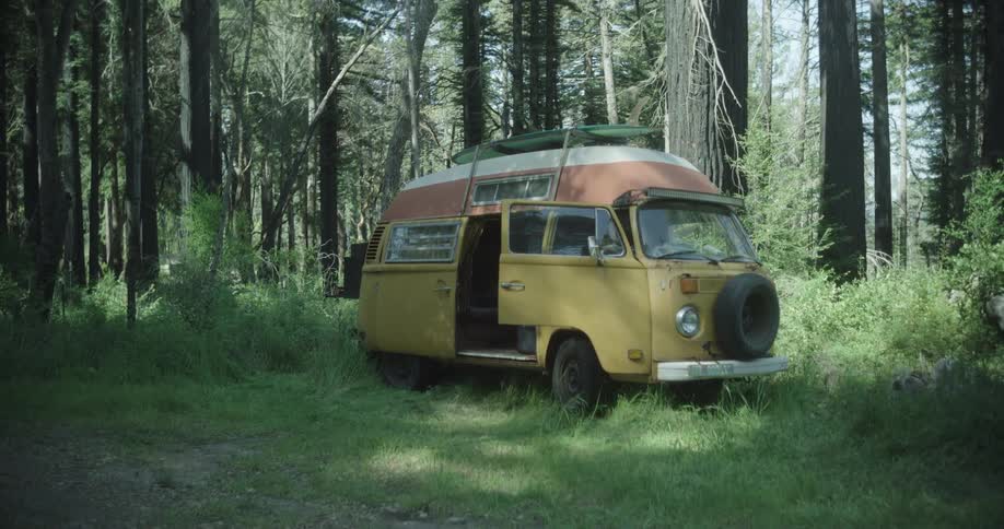 Colorful kombi parked in a forest