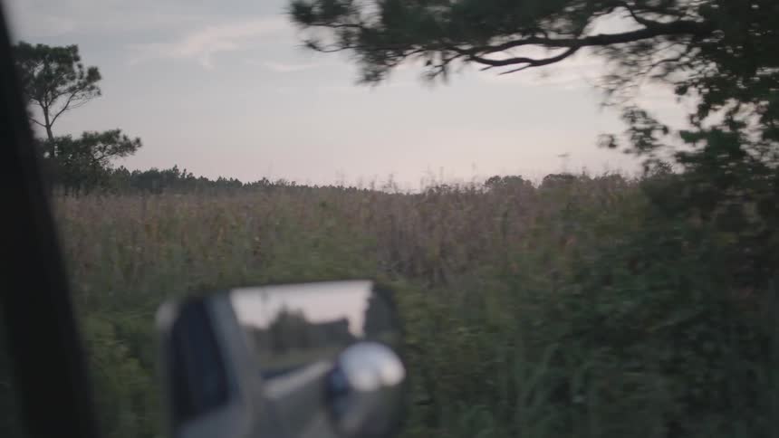 Moving view through a vehicle window of a field with trees