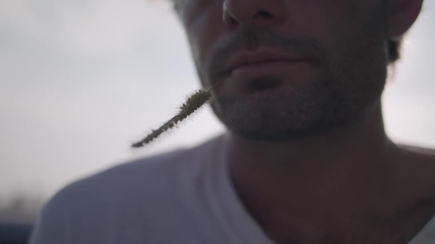 A person with short facial hair holds a piece of dry bristly grass between their lips