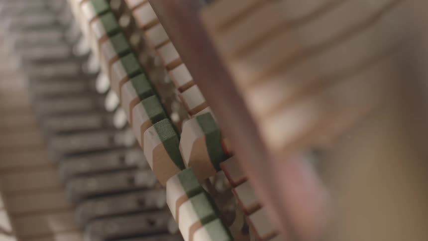 Piano hammers strike the strings inside a piano