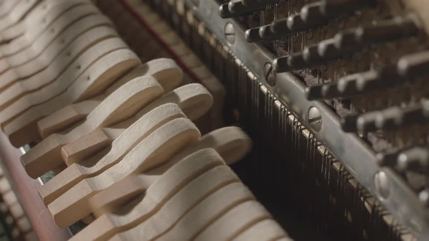 A closeup shows the intricate mechanism of a pianos action focusing on the lightcolored wooden hammers moving above the strings