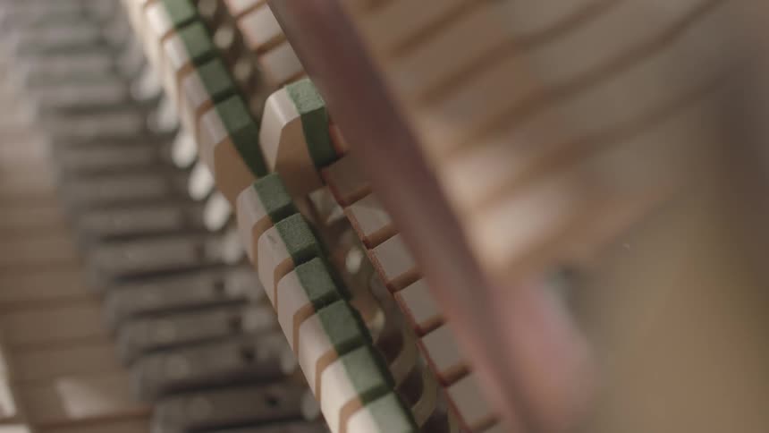 Piano hammers strike while the piano is played