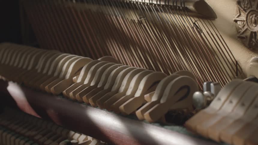 A row of piano hammers strikes the strings inside a piano