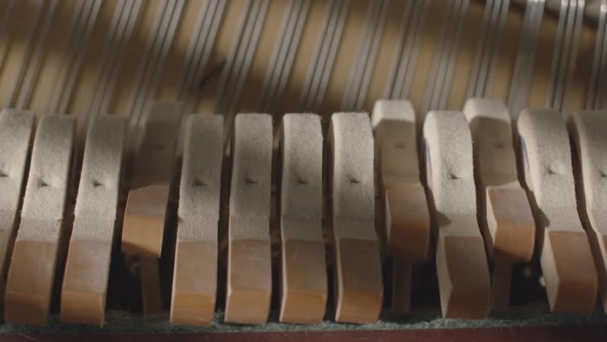 Closeup of details of wooden piano keys