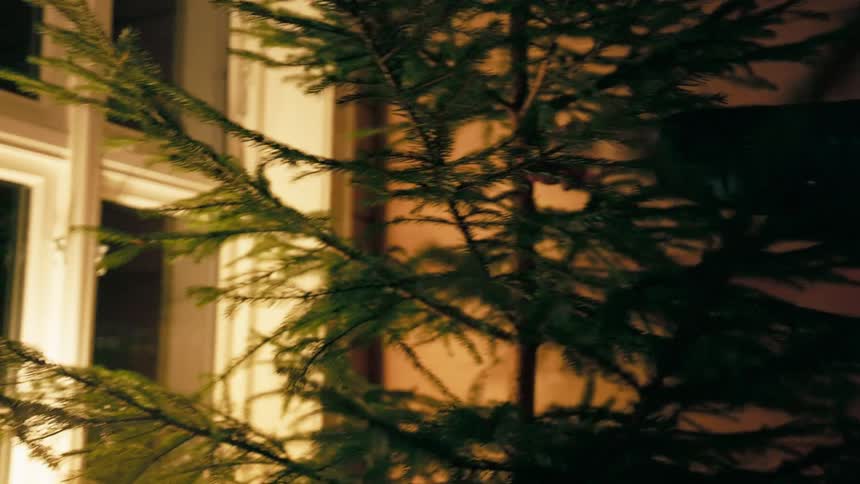 A christmas tree beside the window with bright light shining from the side gently shakes back and forth