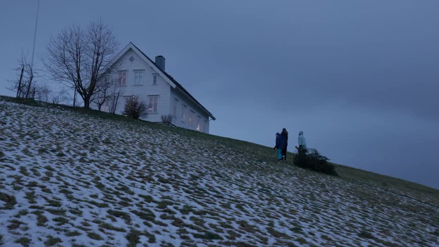 Three people climbing a hill towards a house carrying a tree