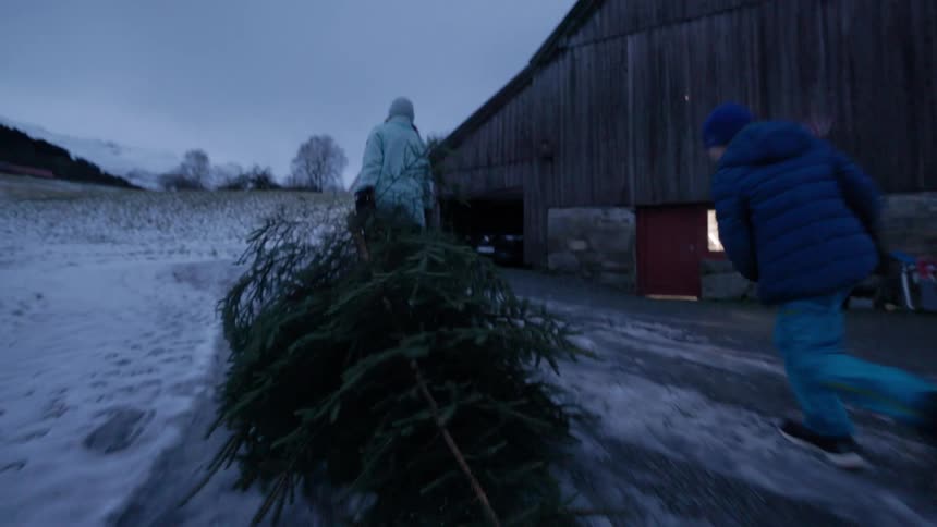 Adult accompanied by a child carrying a tree in a snowy environment