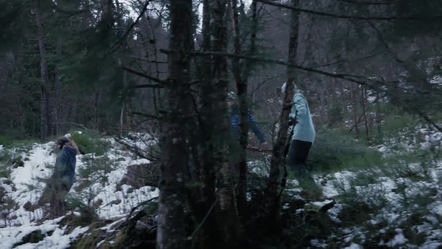 Family including two children descending a mountain accompanied by their parents with one of them carrying a tree