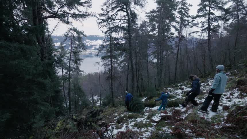 Group of people walking through a coniferous forest in the snowy mountains