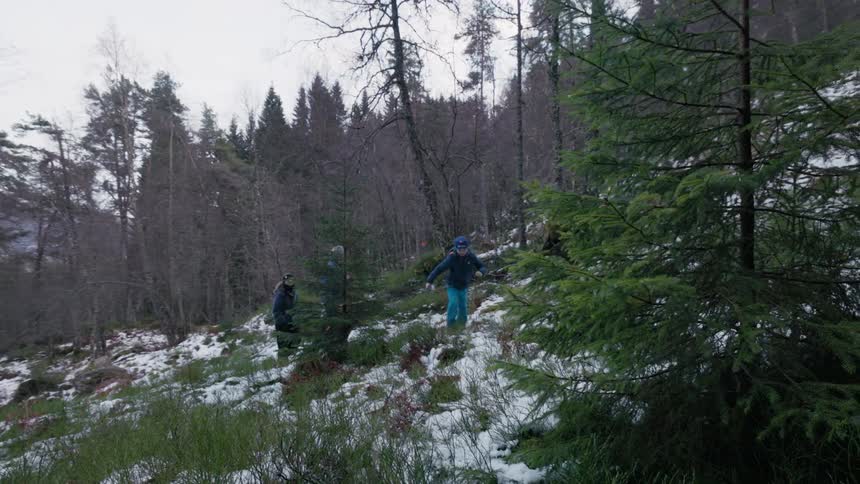 A family walk through a sparse snow dusted forest with tall evergreen and bare deciduous trees under an overcast sky