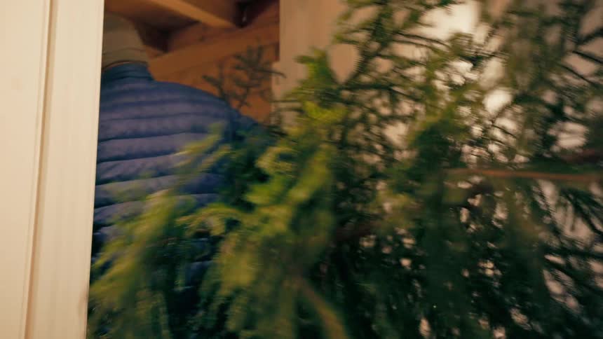 A man carries a dissembled christmas tree into a house