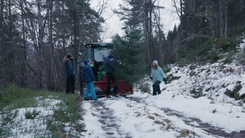 A family have cut down their own christmas tree