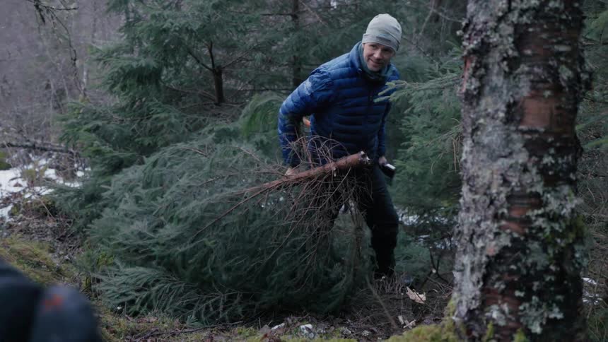 A man carries a tree while a woman watches nearby