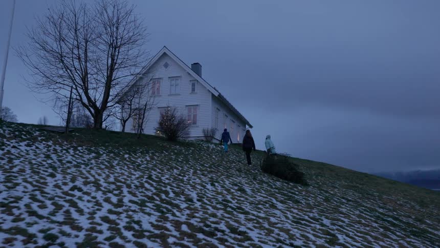 People are dragging a christmas tree uphill towards the home