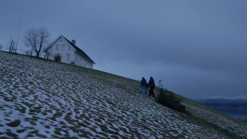 Family walking up a hill towards a house on a snowy day with one of them carrying a tree