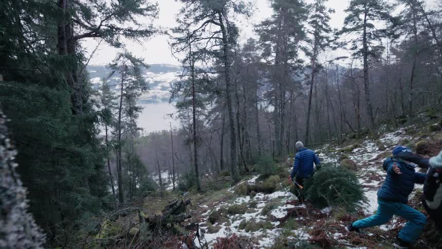 Family of four people descending a forest mountain with an adult person carrying a tree