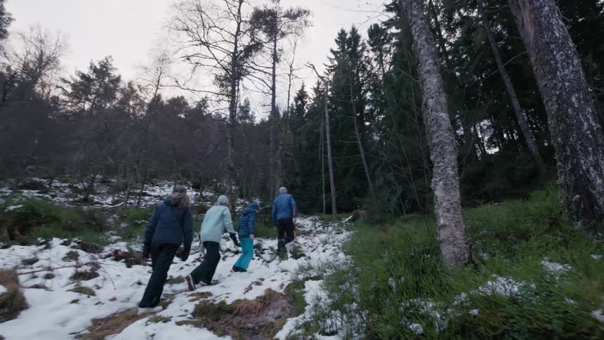 A family are hiking in the forest