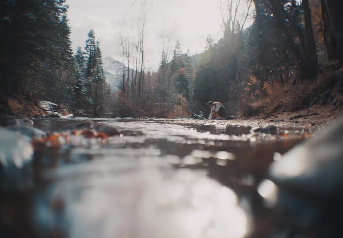 A woman walking along the river shore stops and crouches by a river in a sunlit forest clearing with mountains in the distance preparing to skip a stone across the water