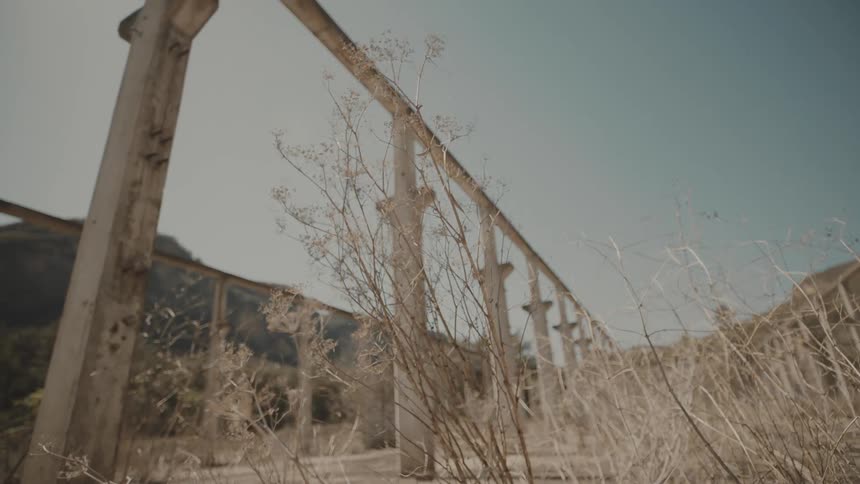 A row of weathered concrete pillars stands amidst dry overgrown vegetation under a clear sky
