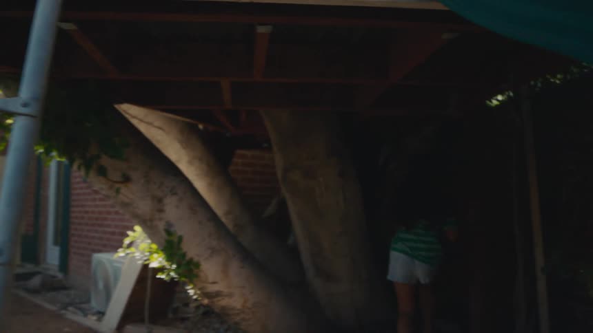 A girl walks under a treehouse in a backyard near her home on a morning