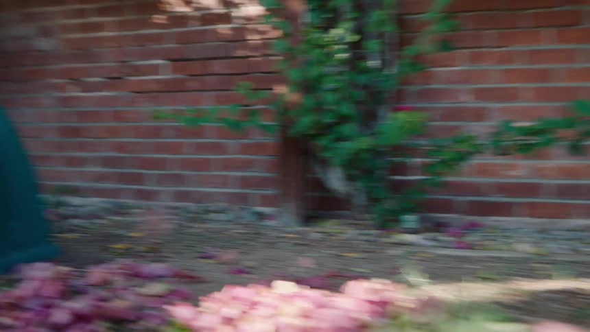 Boy slides through the fallen petals covering the slide on a summer day