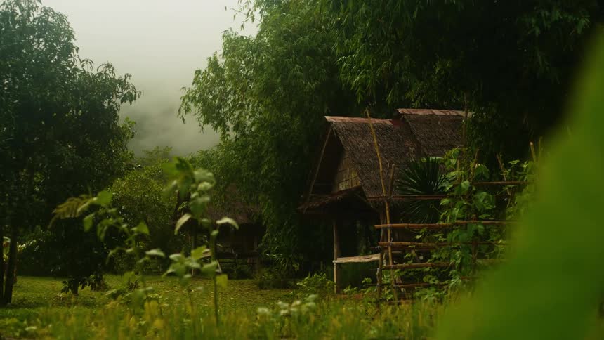 Some huts in a jungle