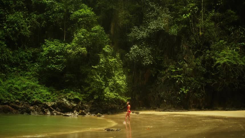 Woman wearing a bikini stands on the beach near the forest and looks up