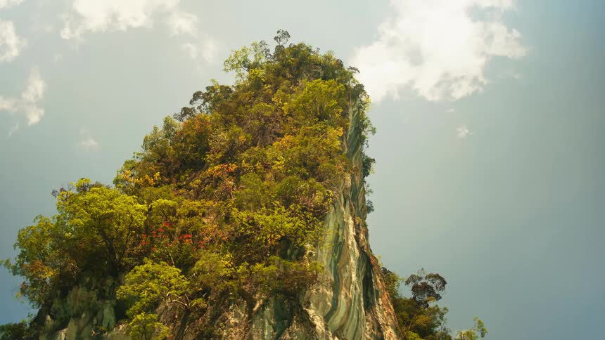 One side of a mountain peak has trees up to the top