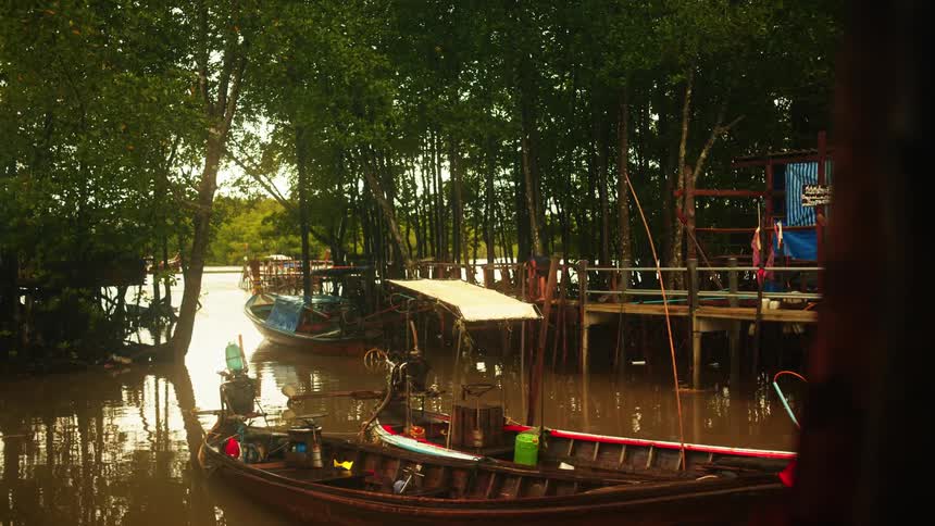 Wooden boats are anchored in a canal surrounded by mangroves and a small wooden pier