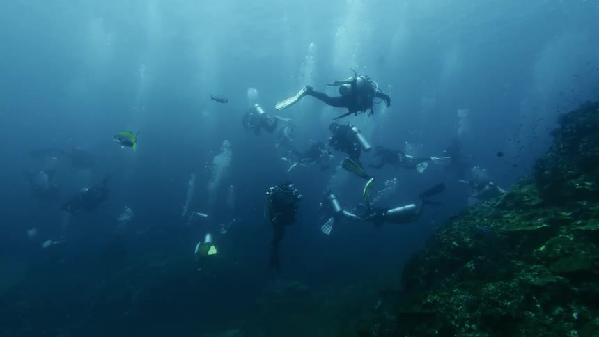 Several scuba divers explore the depths of a clear blue ocean near a rocky reef