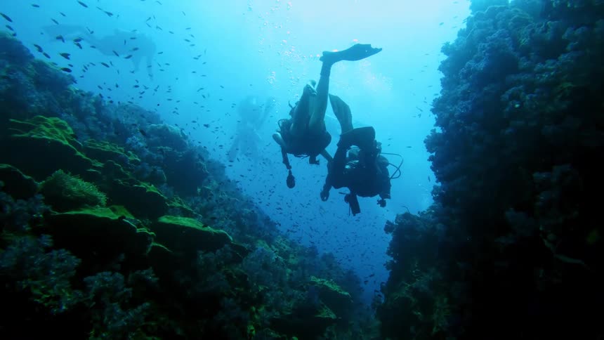 Two scuba divers explore a vibrant underwater coral reef teeming with schools of small fish under bright blue water