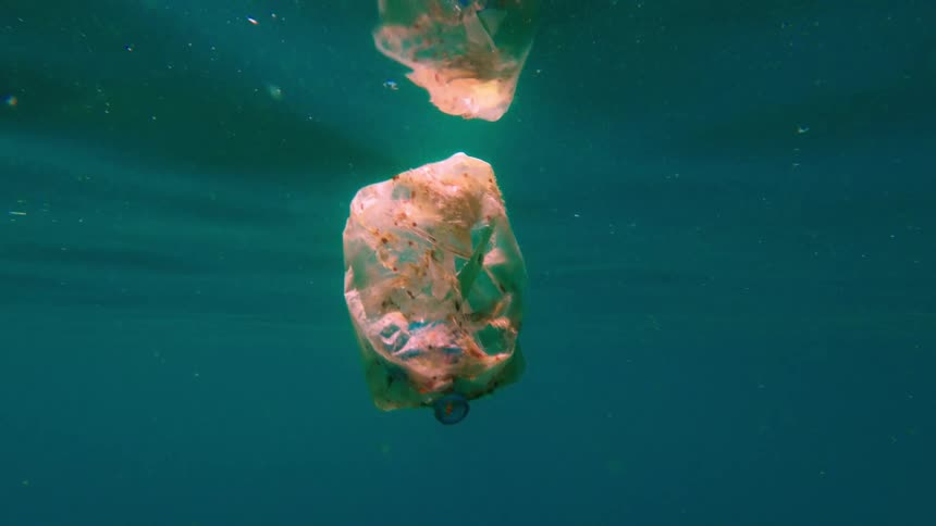 Bag of trash floats near the surface of the water during the daytime