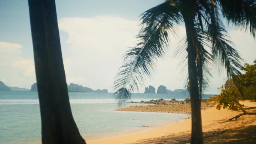A beach with palm trees along the coast and large rocks in the sea