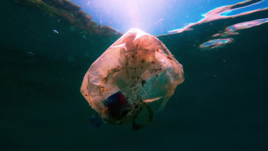 A plastic bag floating beneath the ocean water at midday